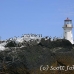 lighthouse_island_seal_machias_h_2361_can1414.jpg
